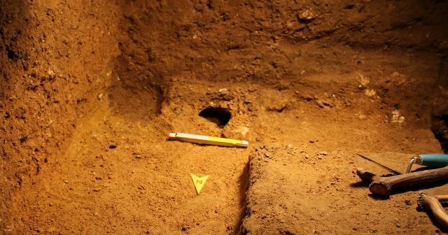 W Jaskini Żarskiej odkryto najstarsze szczątki kota pochodzącego z Bliskiego Wschodu W Jaskini Żarskiej odkryto najstarsze szczątki kota pochodzącego z Bliskiego Wschodu
