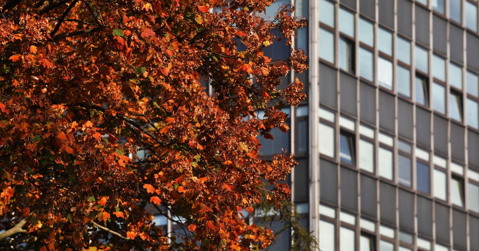  Photo of rector's office