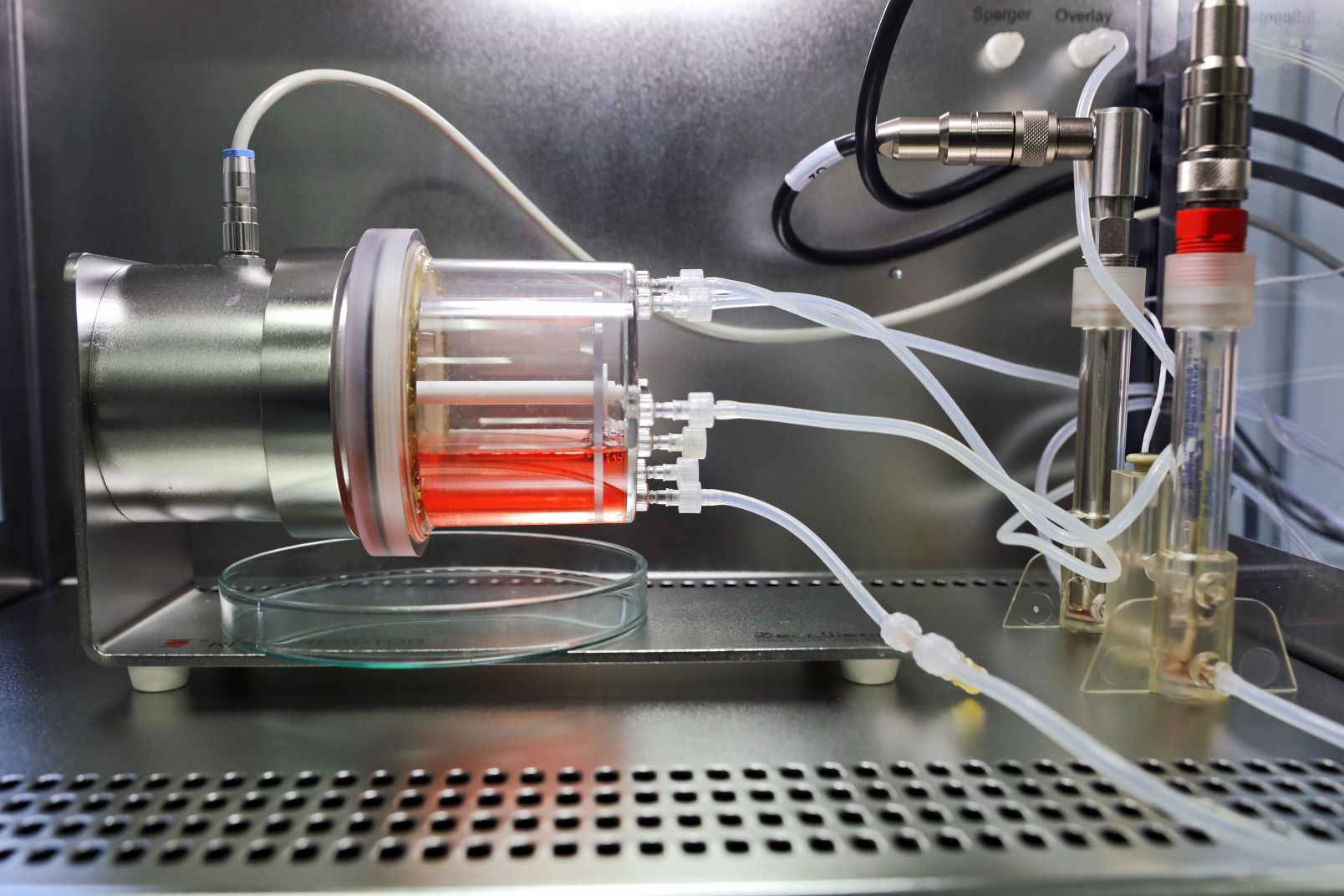 Bioreaktor przystosowany do hodowli komórek macierzystych na rusztowaniach