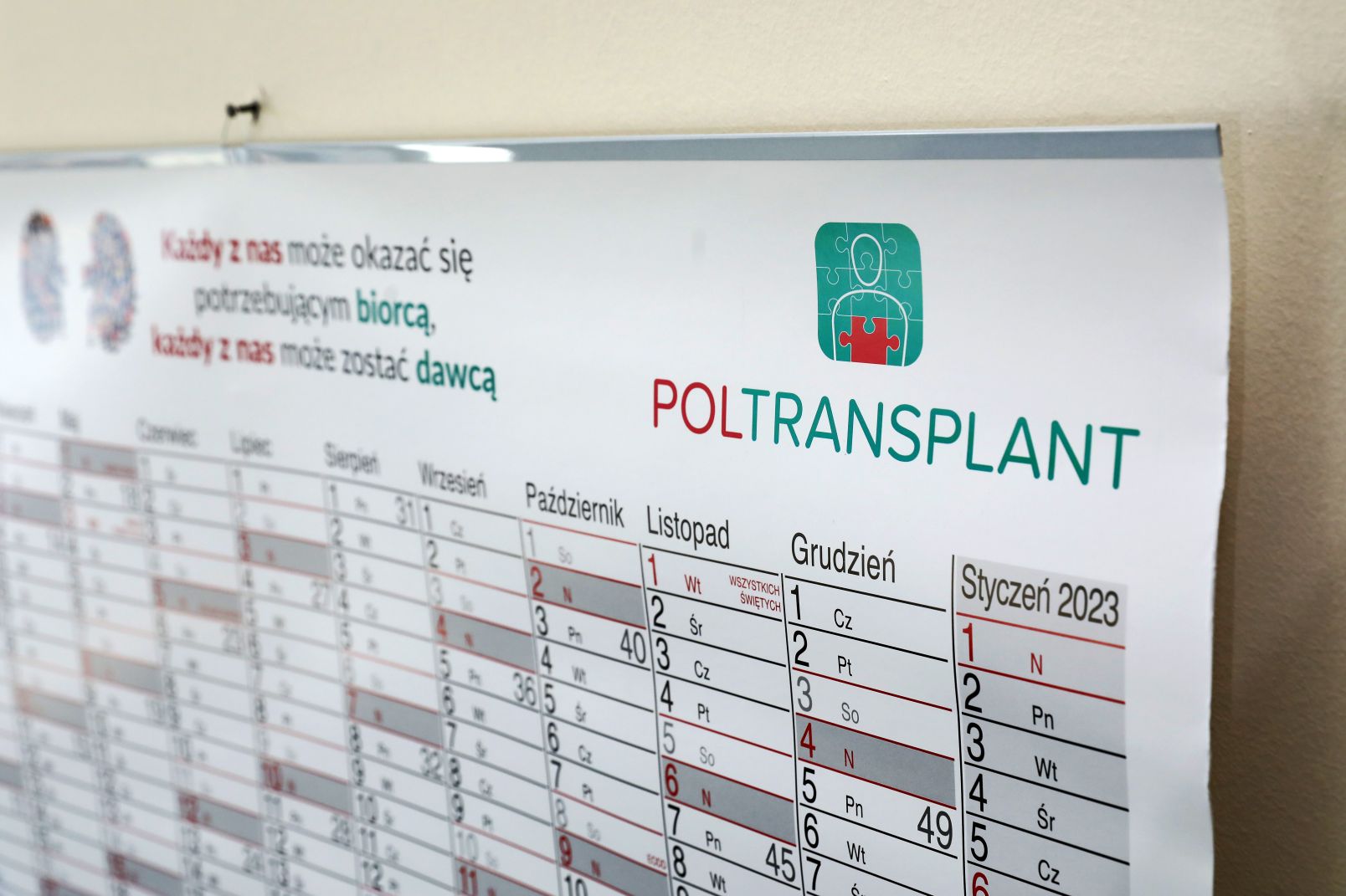 Kalendarz ścienny Poltransplantu