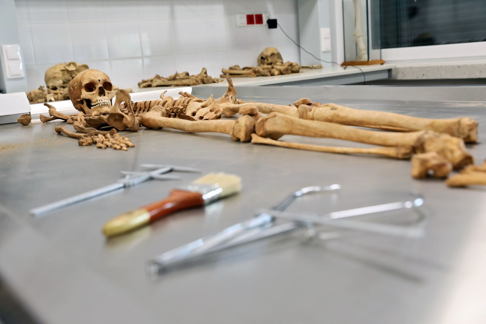 Szkielet młodej kobiety odnaleziony w Pniu