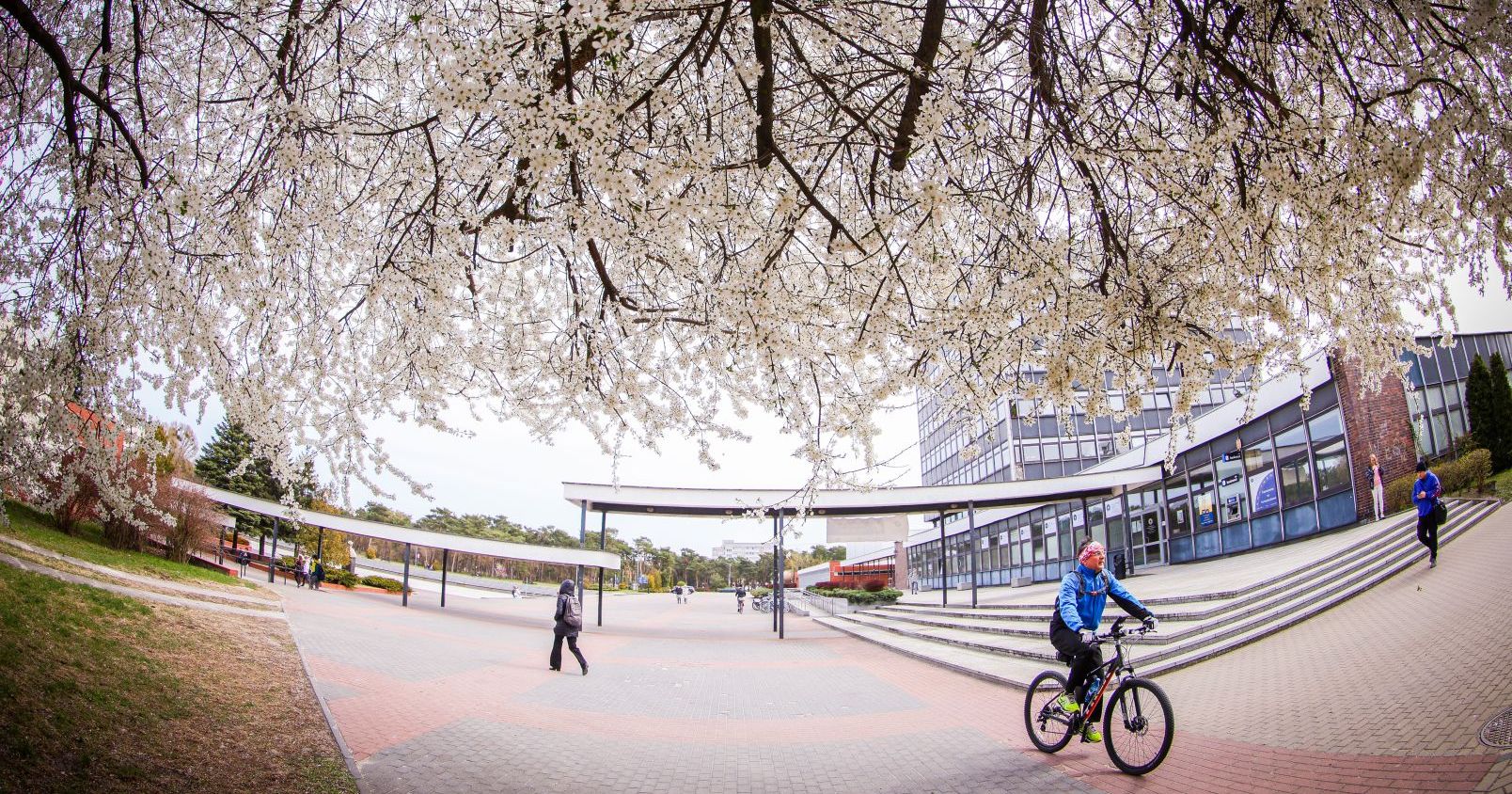 Mobilność studencka: rekrutacja do Programu MOST