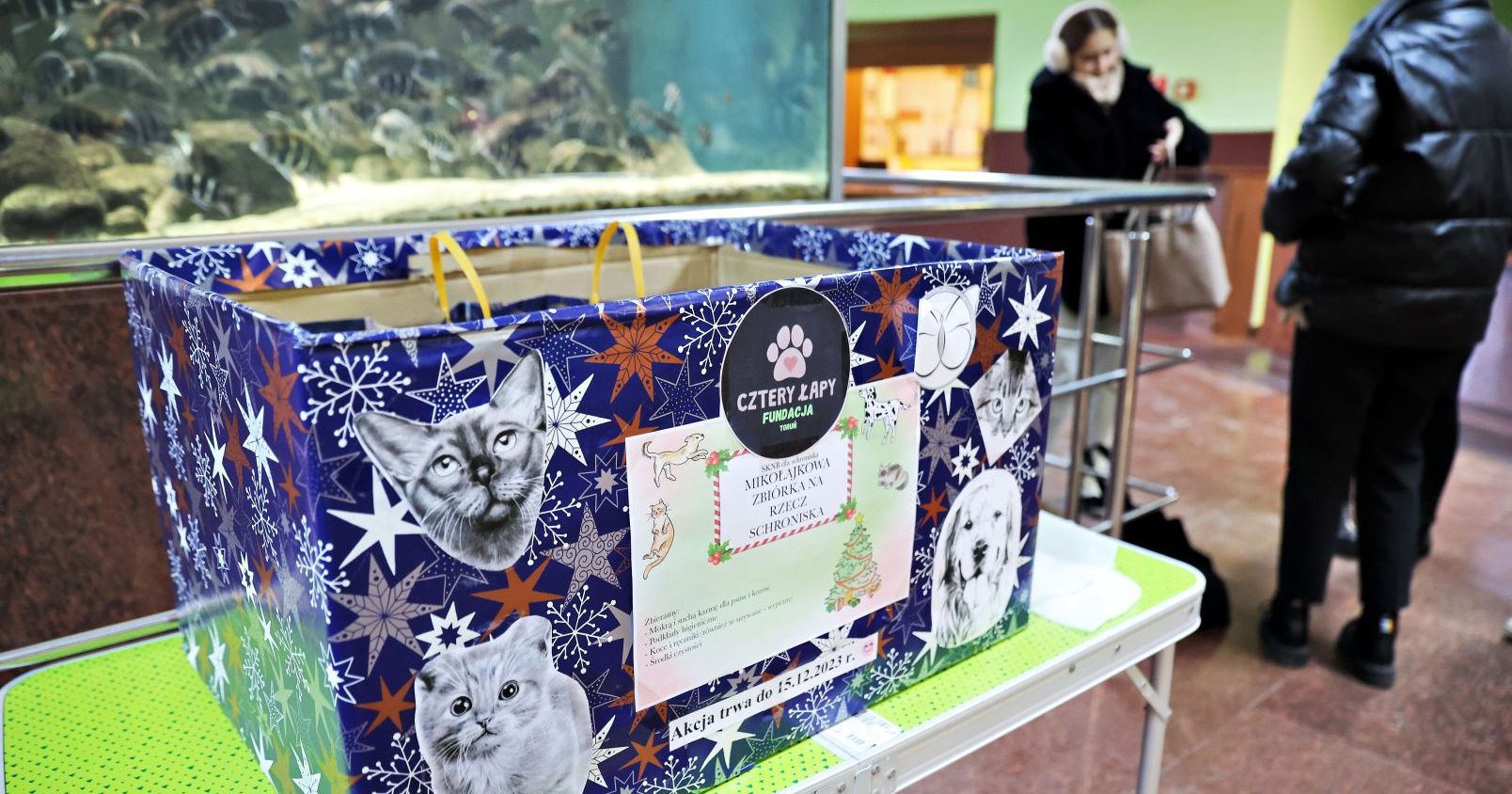 Zbiórka na rzecz bezdomnych zwierząt prowadzona jest w kilkunastu punktach na terenie UMK Oklejony papierem świątecznym karton na artykuły dla zwierząt