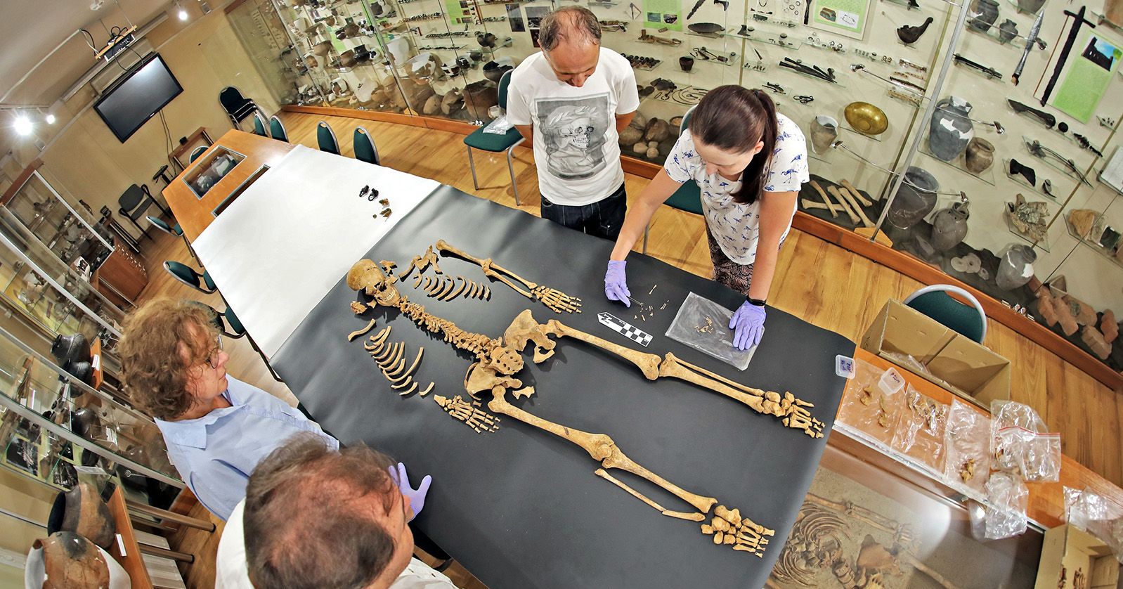 Naukowcy odnaleźli w Pniu szkielet ciężarnej kobiety ze ściętym ramieniem. Kościec prawdopodobnie uszkodzono kopiąc obok kolejny grób. Naukowcy stoją nad odnalezionym w Pniu szkieletem kobiety ze ściętym ramieniem. Szkielet został rozłożony na czarnej materii wśród gablot z rekwizytami w Instytucie Archeologii UMK.