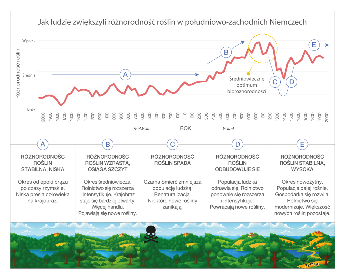 Grafika przedstawiajaća jak ludzie zwiększali bioróznorodność w południowo zachodnich Niemczech