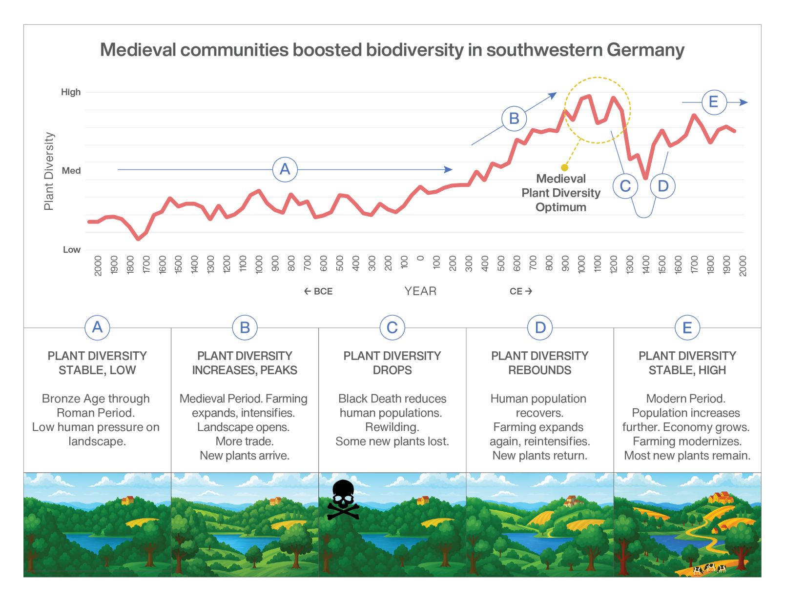 Graphic showing how people increased biodiversity in southwestern Germany