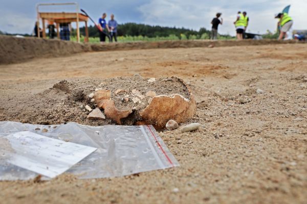 Początek kolejnego etapu badań archeologicznych w Pniu  (13.07.2023) [fot. .Andrzej Romański] Kliknij, aby powiększyć zdjęcie
