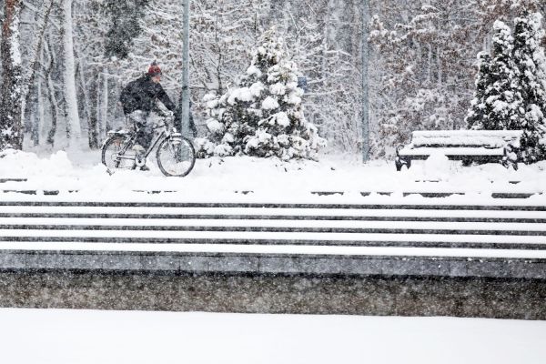 Konferencja prasowa nt podyplomowych studiów rowerowych (24.01.25, WNoZiGP) [fot. Andrzej Romański] Kliknij, aby powiększyć zdjęcie