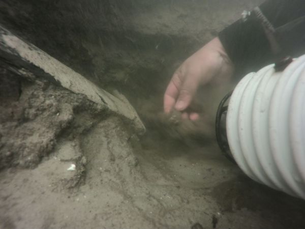 Podwodne badania archeologiczne w okolicach Ostrowa Lednickiego [fot. Filip Nalaskowski] Kliknij, aby powiększyć zdjęcie