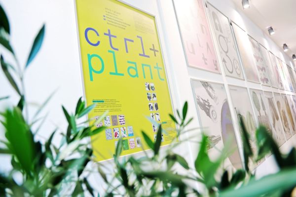  [fot. Andrzej Romański] Kliknij, aby powiększyć zdjęcie