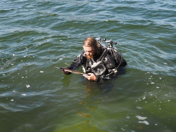  Click to enlarge image