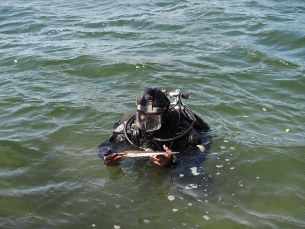  Click to enlarge image