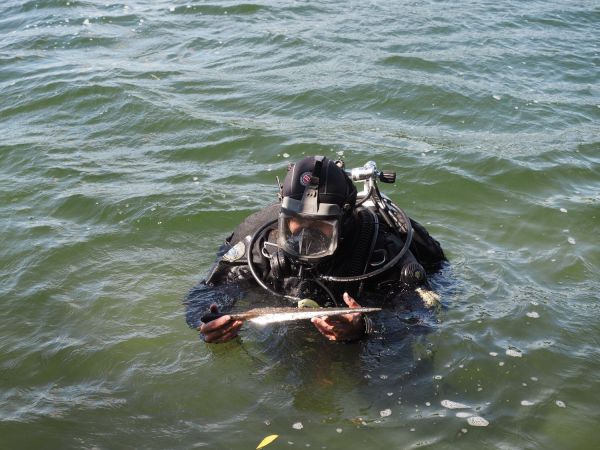  Click to enlarge image