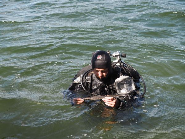  Click to enlarge image