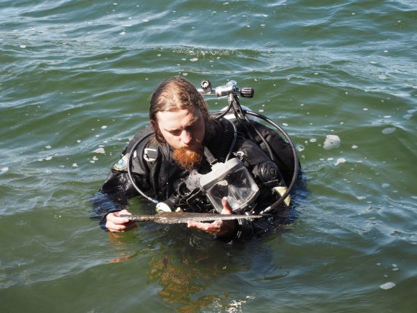  Click to enlarge image