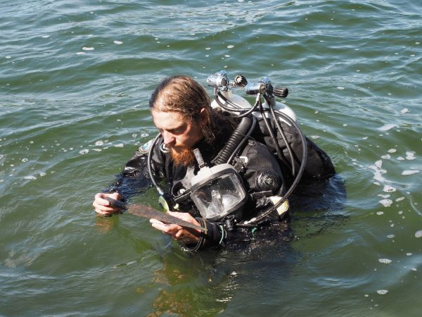  Click to enlarge image