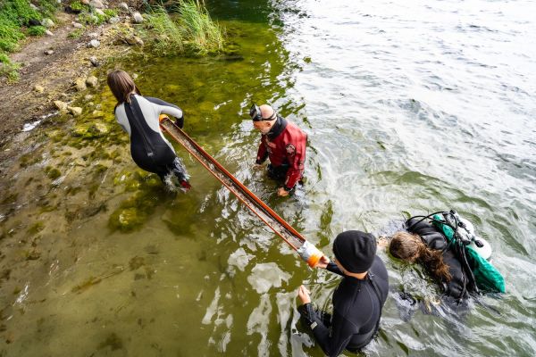  Click to enlarge image