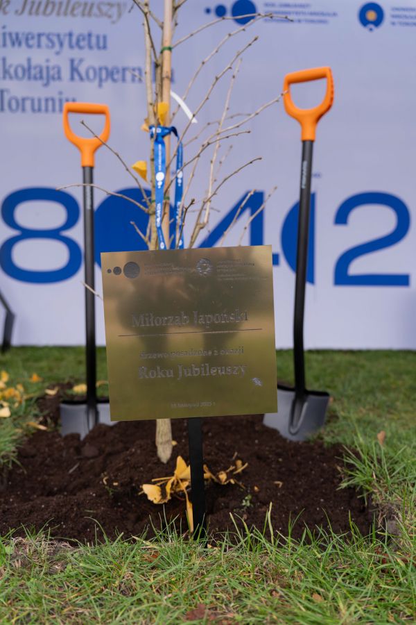 Uroczyste zasadzenie miłorzębu japońskiego w Bydgoszczy [Mariusz Kowalikowski] Kliknij, aby powiększyć zdjęcie