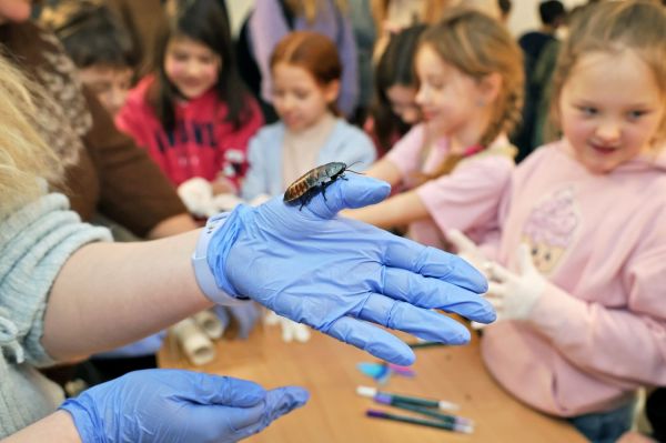  [fot. Andrzej Romański] Kliknij, aby powiększyć zdjęcie
