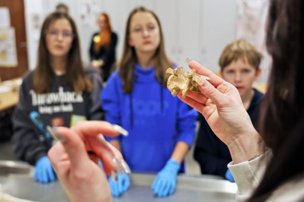  [fot. Andrzej Romański] Kliknij, aby powiększyć zdjęcie