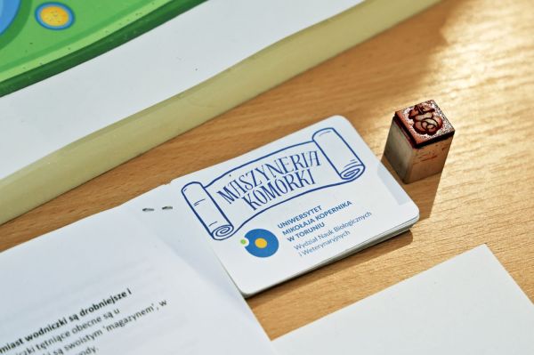  [fot. Andrzej Romański] Kliknij, aby powiększyć zdjęcie