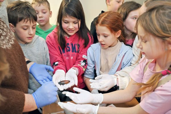  [fot. Andrzej Romański] Kliknij, aby powiększyć zdjęcie