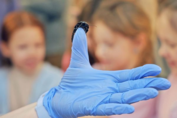  [fot. Andrzej Romański] Kliknij, aby powiększyć zdjęcie