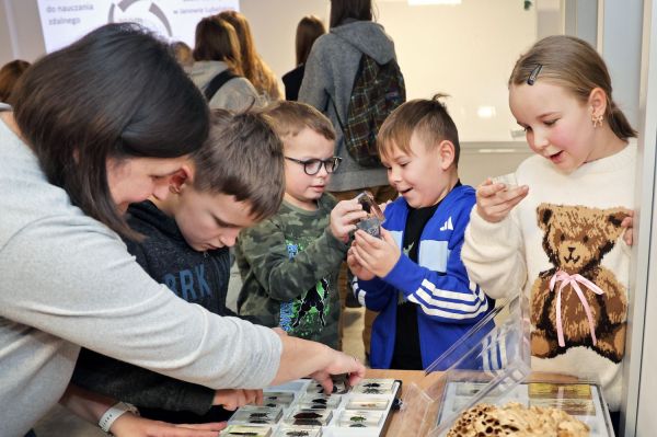 [fot. Andrzej Romański] Kliknij, aby powiększyć zdjęcie