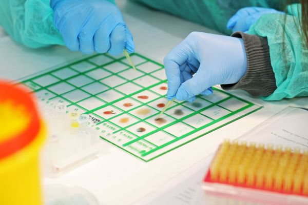  [fot. Andrzej Romański] Kliknij, aby powiększyć zdjęcie