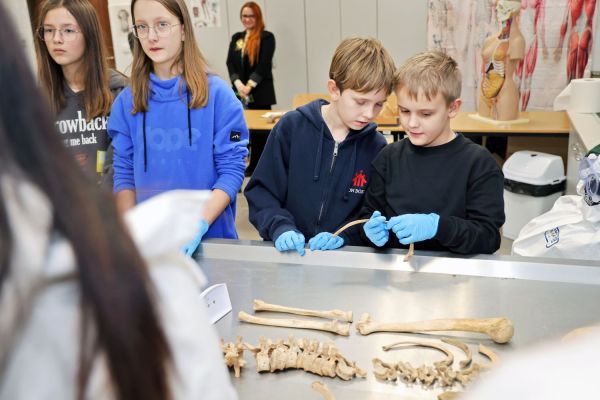  [fot. Andrzej Romański] Kliknij, aby powiększyć zdjęcie