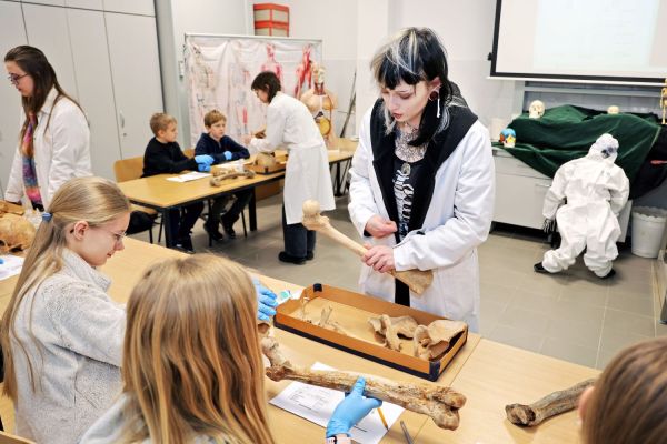  [fot. Andrzej Romański] Kliknij, aby powiększyć zdjęcie
