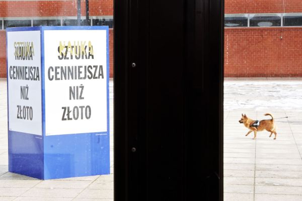  [fot. Andrzej Romański] Kliknij, aby powiększyć zdjęcie