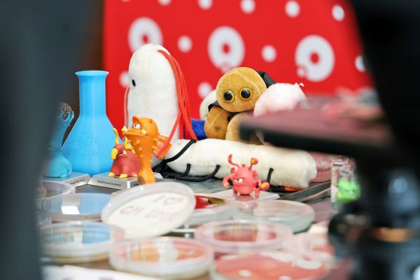  Kliknij, aby powiększyć zdjęcie