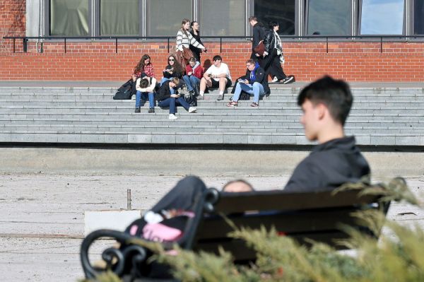  Kliknij, aby powiększyć zdjęcie