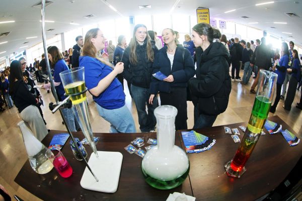  Kliknij, aby powiększyć zdjęcie