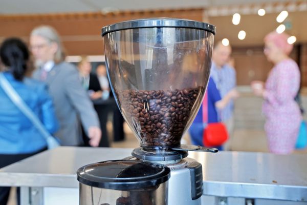  Kliknij, aby powiększyć zdjęcie