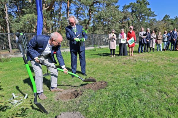 Sadzenie dębu w Kopernikańskim Ośrodku Integracji (29.04.2026) [fot. Andrzej Romański] Kliknij, aby powiększyć zdjęcie