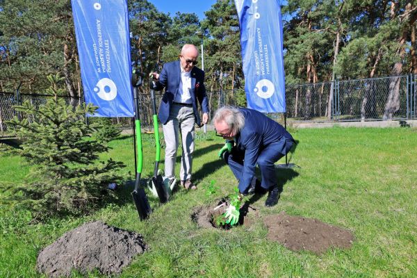 Sadzenie dębu w Kopernikańskim Ośrodku Integracji (29.04.2026) [fot. Andrzej Romański] Kliknij, aby powiększyć zdjęcie