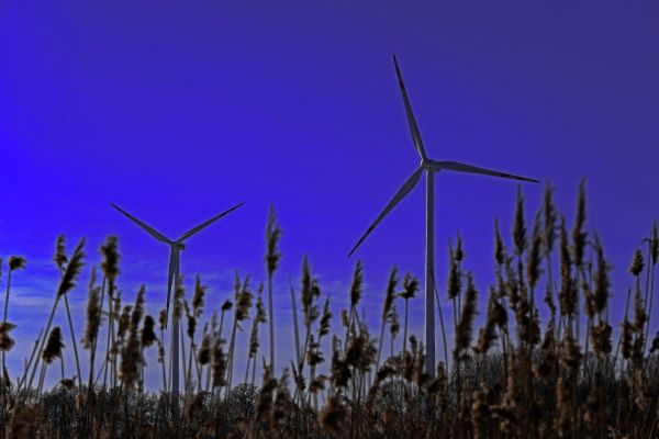 Odnawialne źródła energii [fot. Andrzej Romański] Kliknij, aby powiększyć zdjęcie