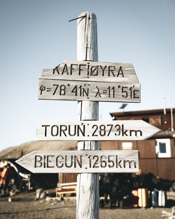  [fot. Alina Kondrat] Kliknij, aby powiększyć zdjęcie