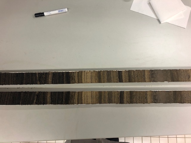 Dwa rdzenie wydobyte z dna jeziora leżą na stole, obok leży flamaster