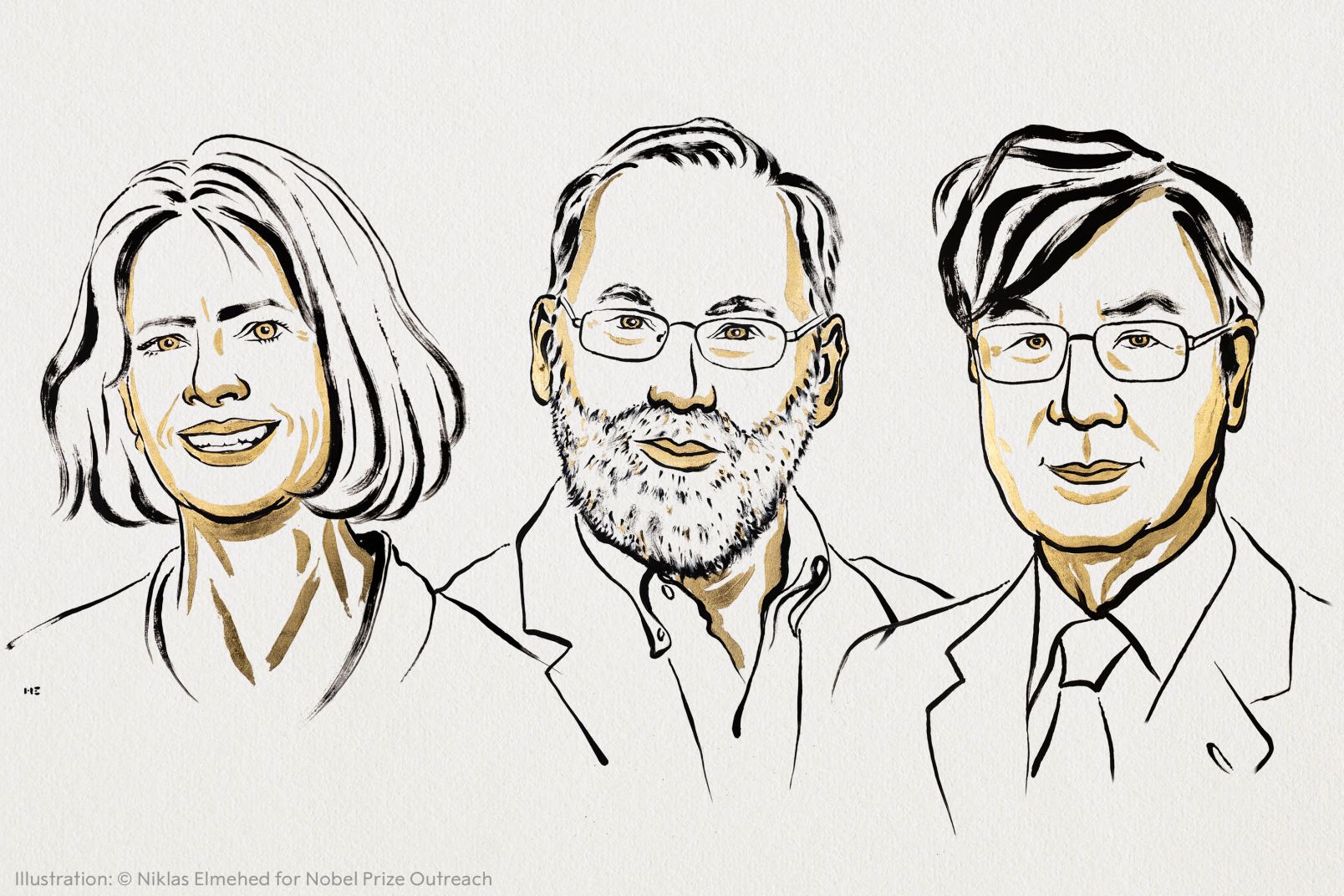 Grafika noblowska przedstawiająca Mary E. Brunkow, Freda Ramsdella i Shimona Sakaguchiego