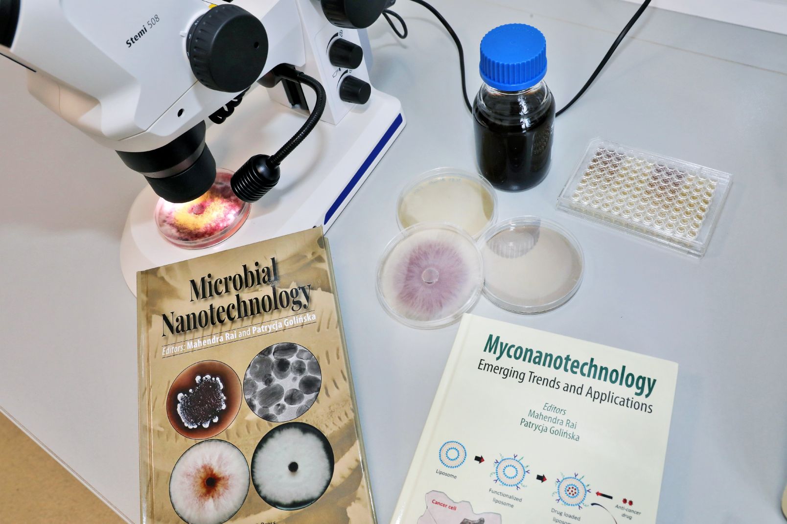  Prof. Ray and Prof. Golińska edited, among others, two books: "Microbial Nanotechnology" and "Myconanotechnology: emerging trends and applications"