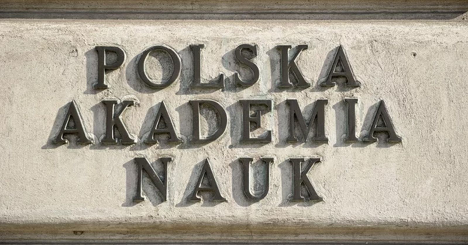 W listopadowych wyborach wyłoniono reprezentantów i reprezentantki do 71 komitetów Napis Polska Akademia Nauk na ścianie budynku