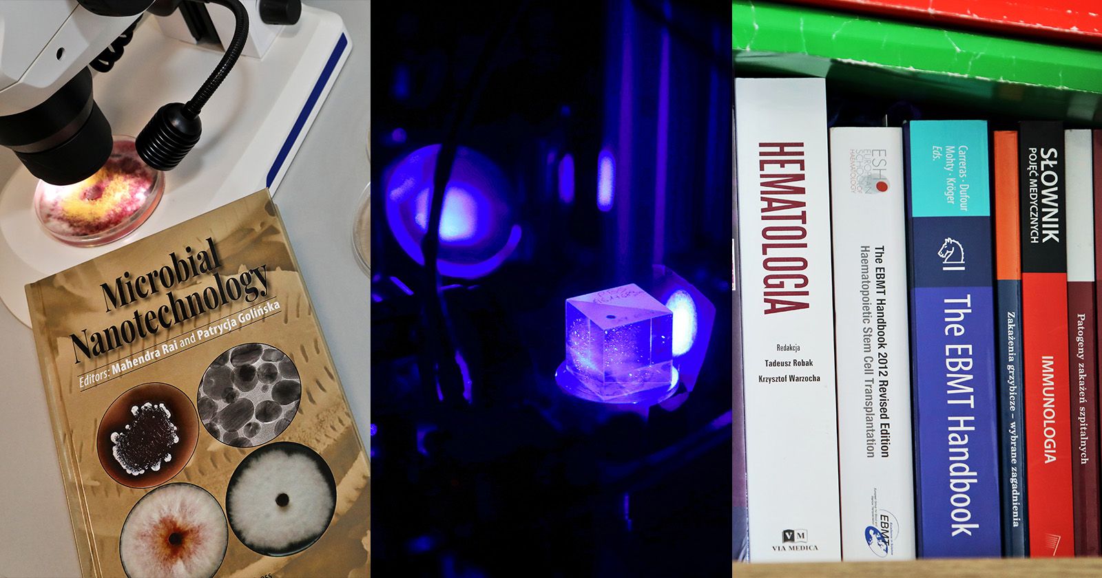 UMK w rankingu dyscyplin QS