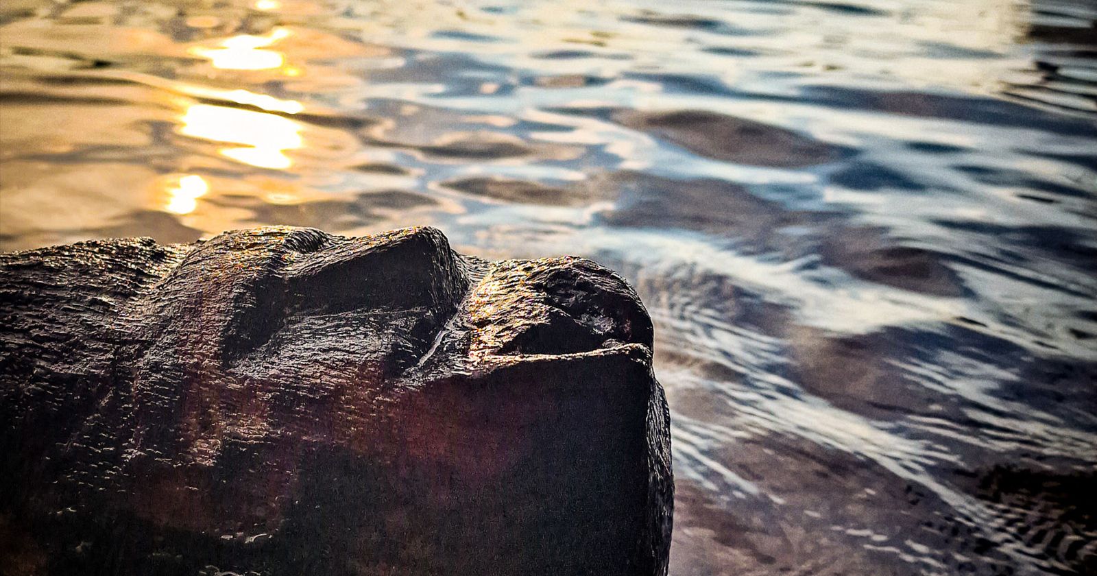 The face is approximately 12 cm high and 9 cm wide. It is not a miniature figurine but a full-sized architectural element whose function went beyond purely structural purposes. A face carved on a beam discovered in Lednickie Lake lies on the shore of the lake in the rays of the setting sun